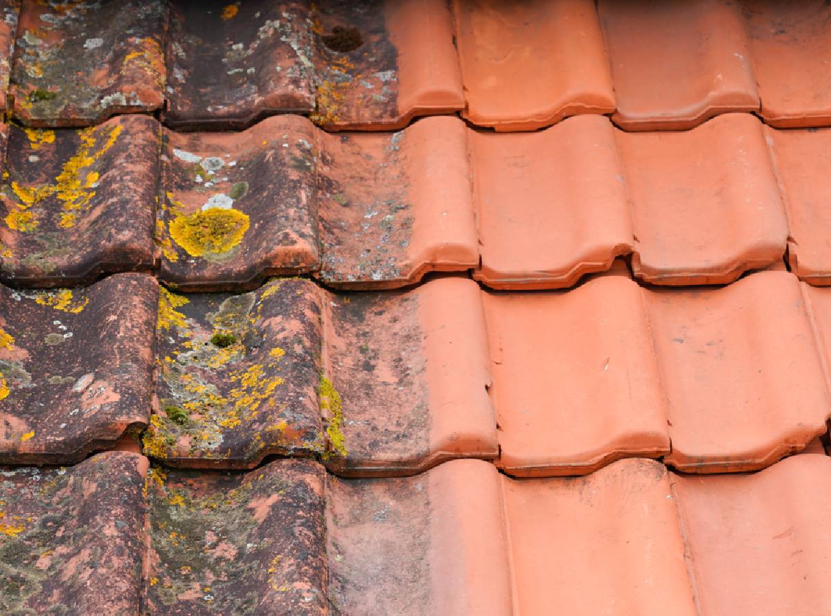 Roofers & builders in New Malden and Surrey